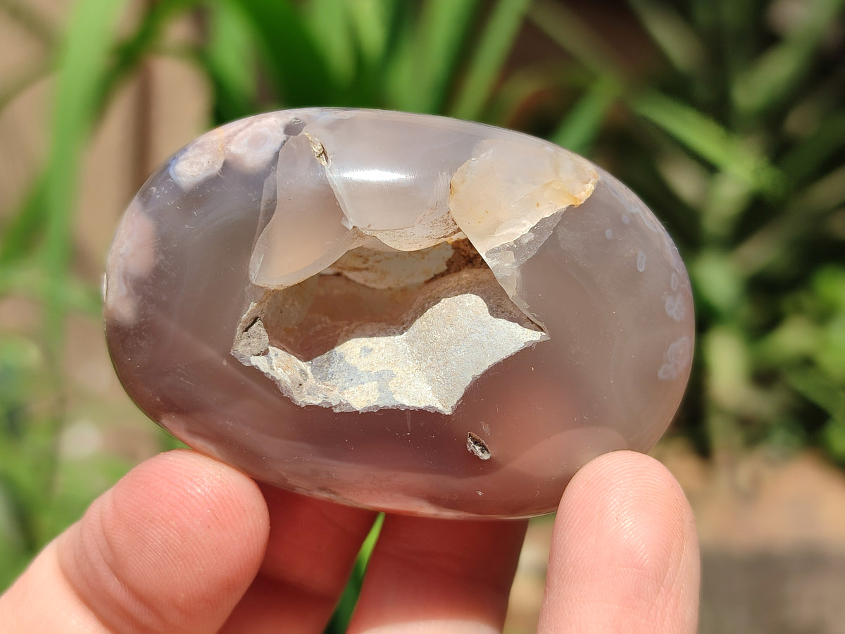 Polished Flower Agate Palm Stones x 24 From Madagascar - Toprock Gemstones and Minerals 