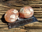 Polished Flower Agate Palm Stones x 24 From Madagascar - Toprock Gemstones and Minerals 
