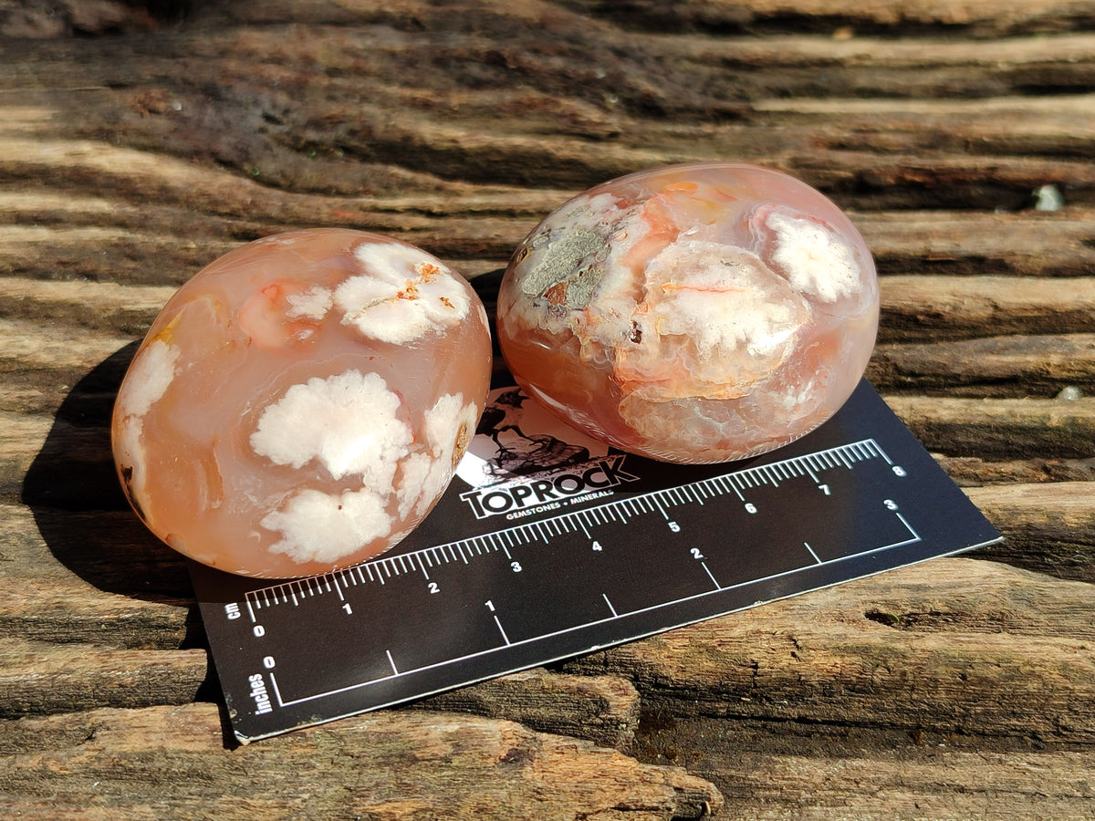 Polished Flower Agate Palm Stones x 24 From Madagascar - Toprock Gemstones and Minerals 