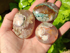 Polished Flower Agate Palm Stones x 24 From Madagascar - Toprock Gemstones and Minerals 