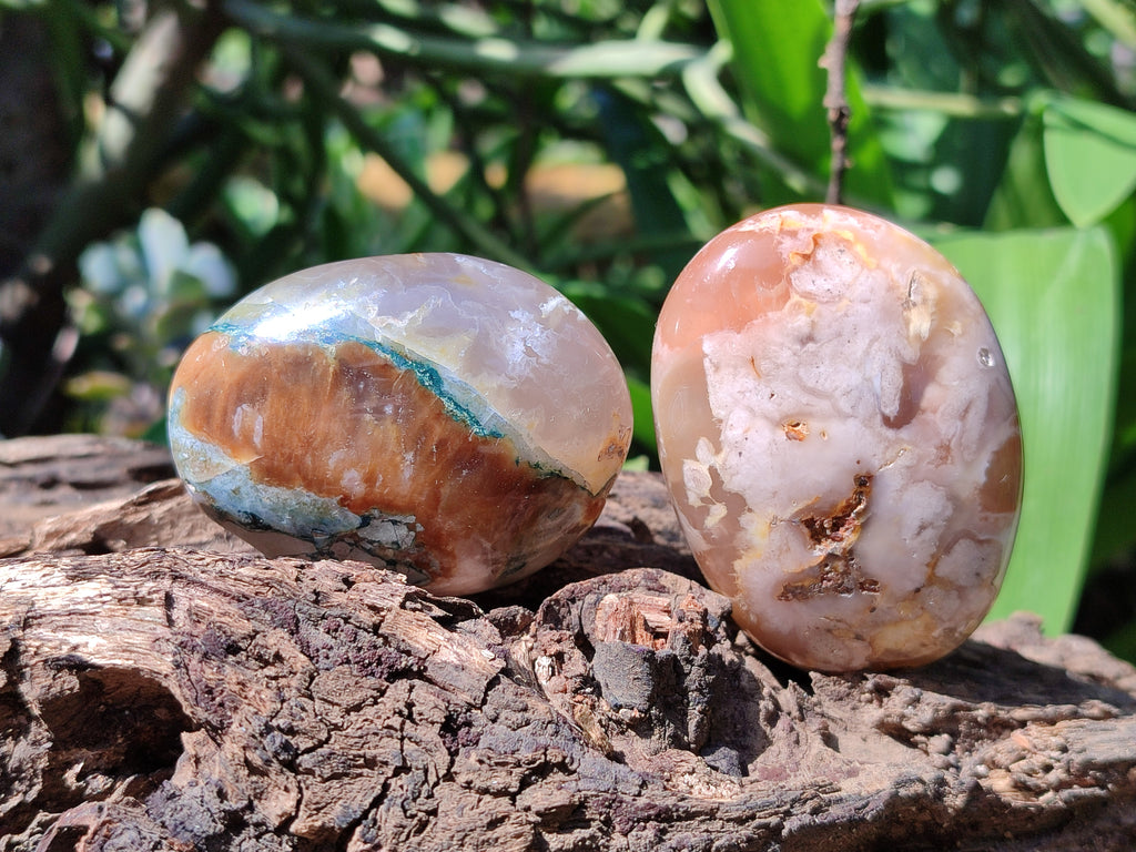 Polished Flower Agate Palm Stones x 24 From Madagascar - Toprock Gemstones and Minerals 
