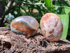 Polished Flower Agate Palm Stones x 24 From Madagascar - Toprock Gemstones and Minerals 