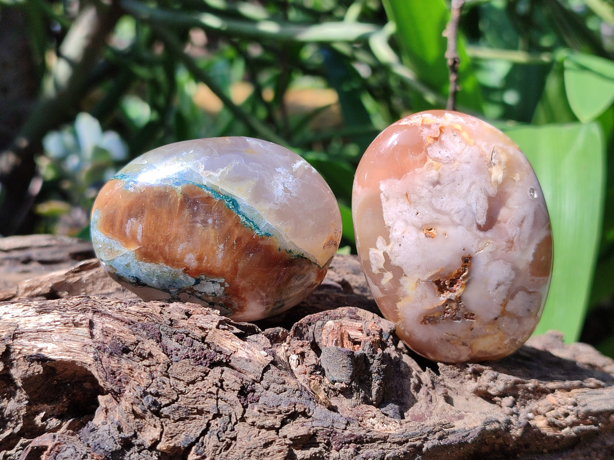 Polished Flower Agate Palm Stones x 24 From Madagascar - Toprock Gemstones and Minerals 
