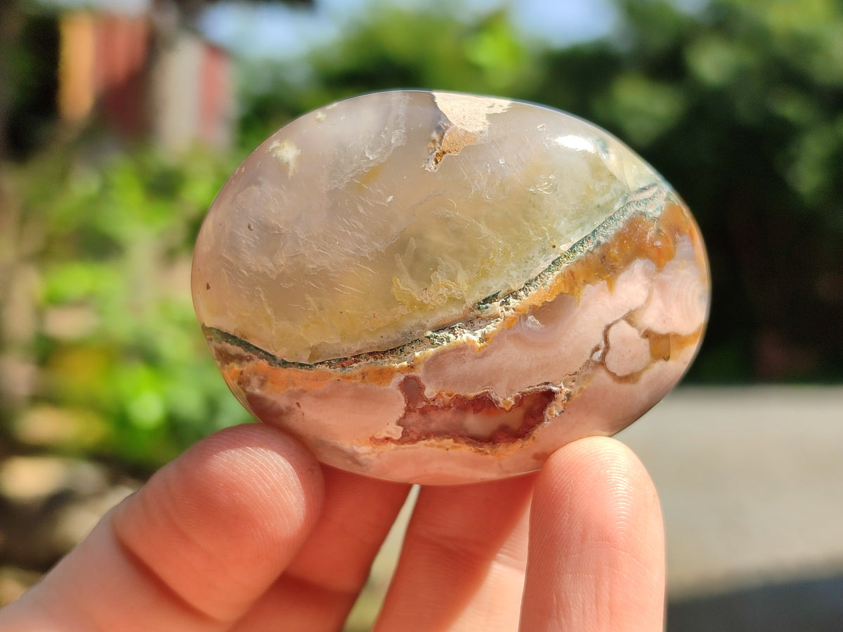 Polished Flower Agate Palm Stones x 24 From Madagascar - Toprock Gemstones and Minerals 
