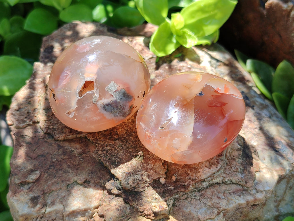 Polished Flower Agate Palm Stones x 24 From Madagascar - Toprock Gemstones and Minerals 