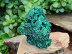 Natural Silky Malachite Specimens x 6 From Kasompe, Congo - Toprock Gemstones and Minerals 