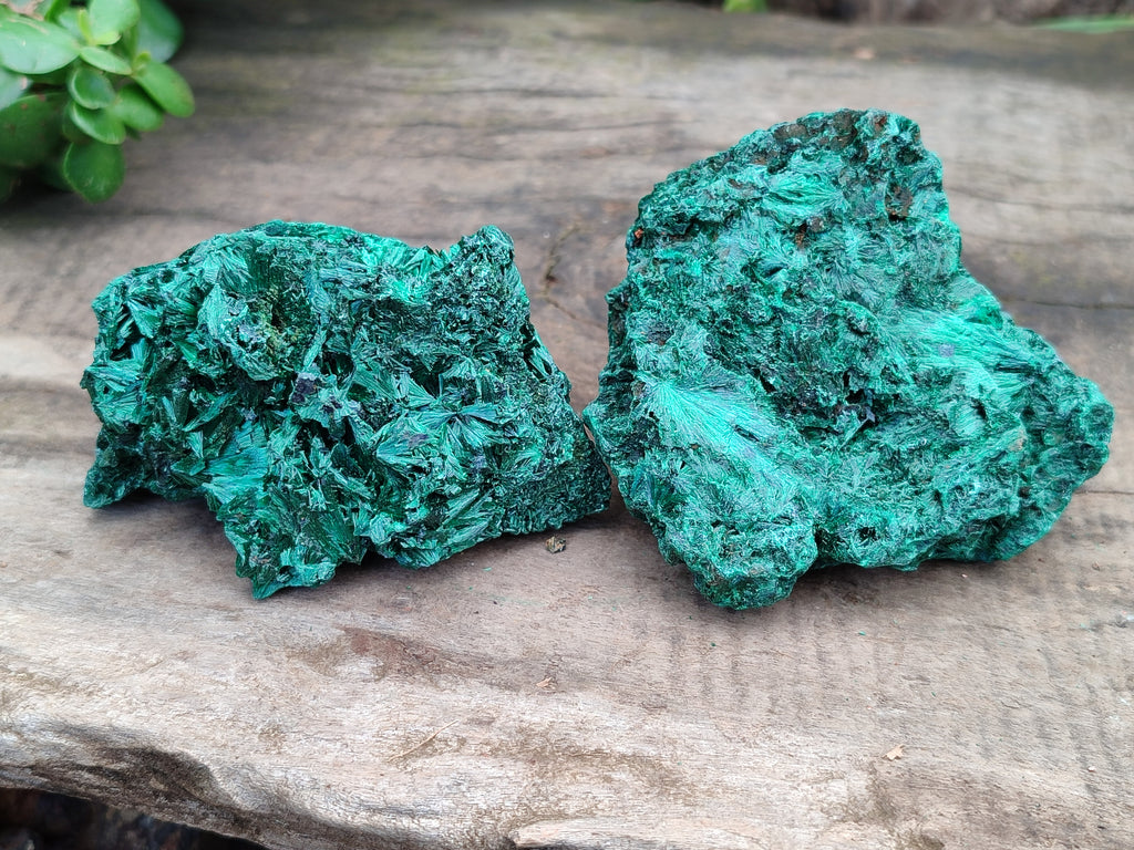 Natural Silky Malachite Specimens x 6 From Kasompe, Congo - Toprock Gemstones and Minerals 