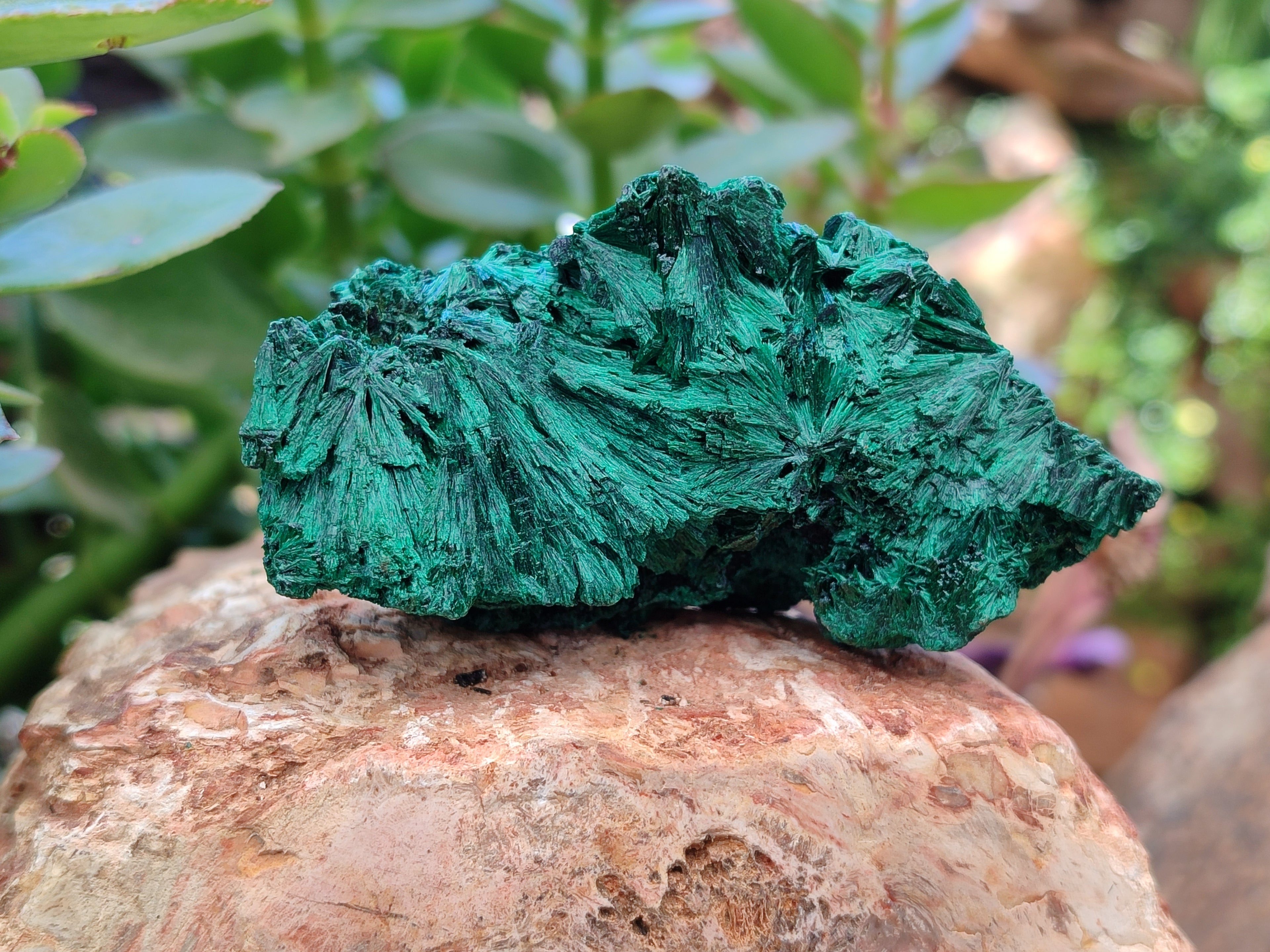 Natural Silky Malachite Specimens x 6 From Kasompe, Congo - Toprock Gemstones and Minerals 