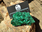 Natural Silky Malachite Specimens x 6 From Kasompe, Congo - Toprock Gemstones and Minerals 