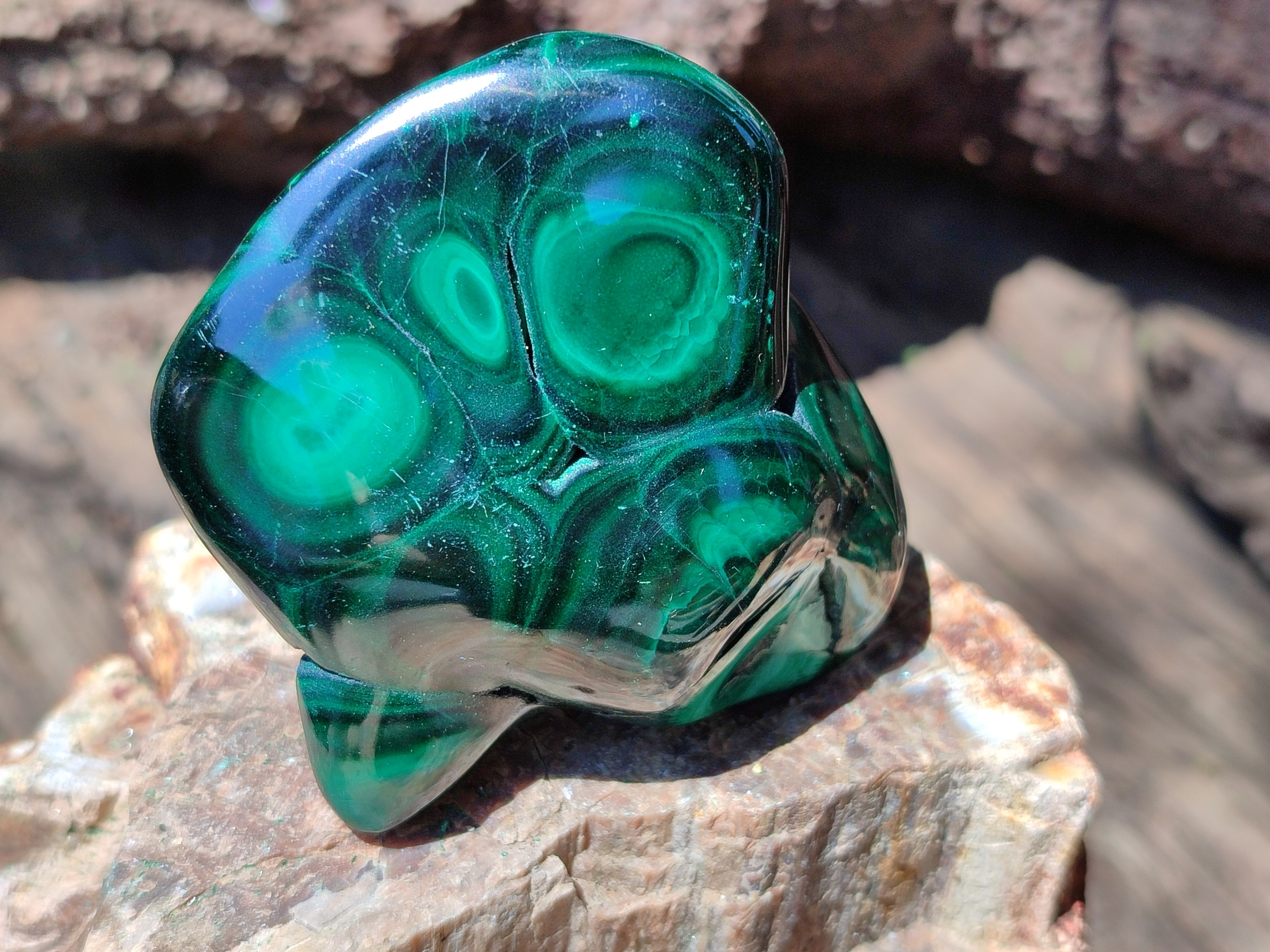 Polished Flower Banded Malachite Free Forms x 6 From Congo - Toprock Gemstones and Minerals 