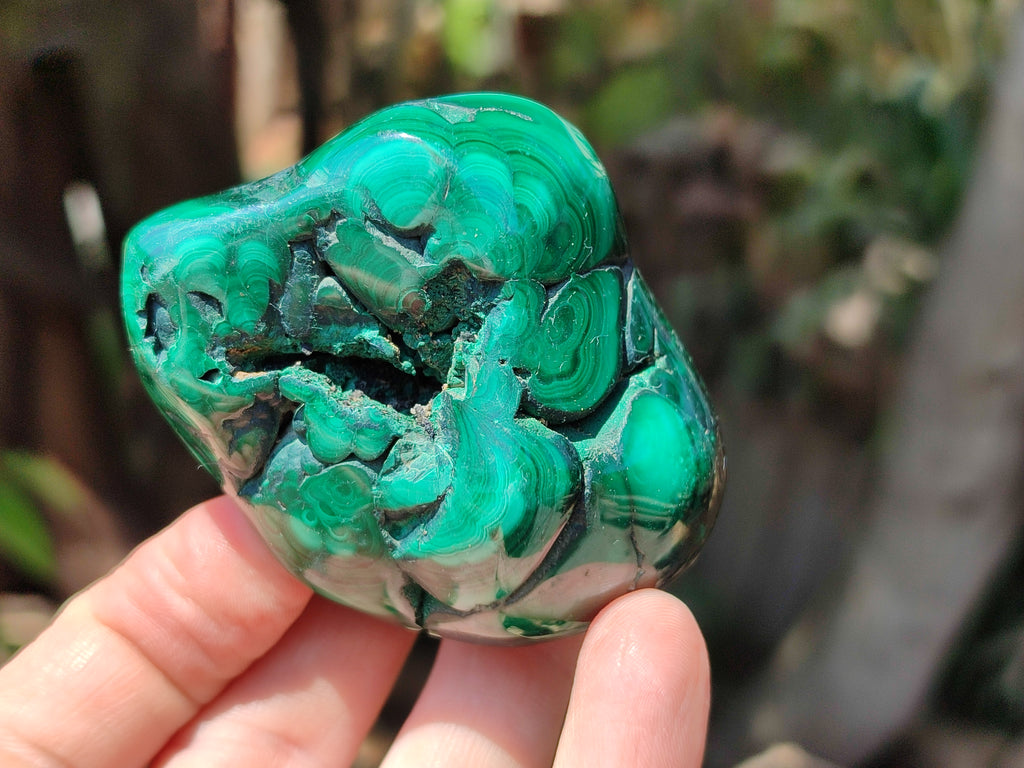 Polished Flower Banded Malachite Free Forms x 6 From Congo - Toprock Gemstones and Minerals 