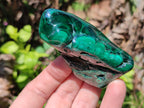 Polished Flower Banded Malachite Free Forms x 6 From Congo - Toprock Gemstones and Minerals 