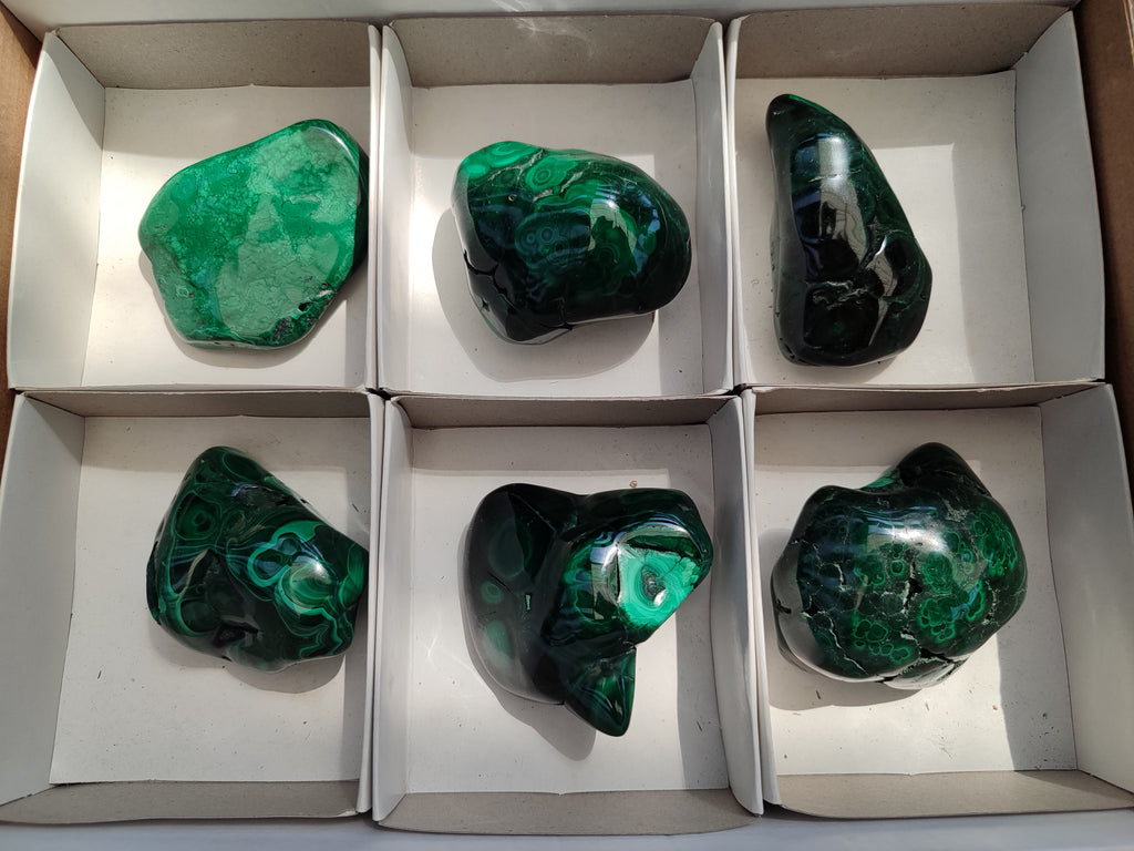 Polished Flower Banded Malachite Free Forms x 6 From Congo - Toprock Gemstones and Minerals 
