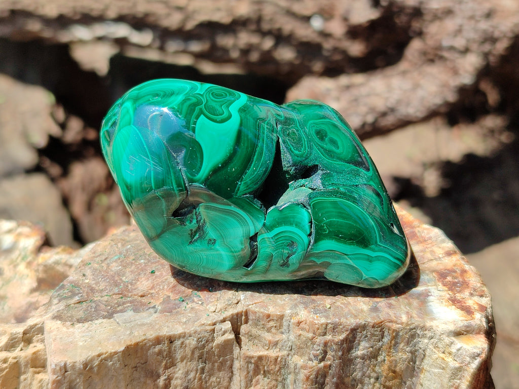 Polished Flower Banded Malachite Free Forms x 6 From Congo - Toprock Gemstones and Minerals 