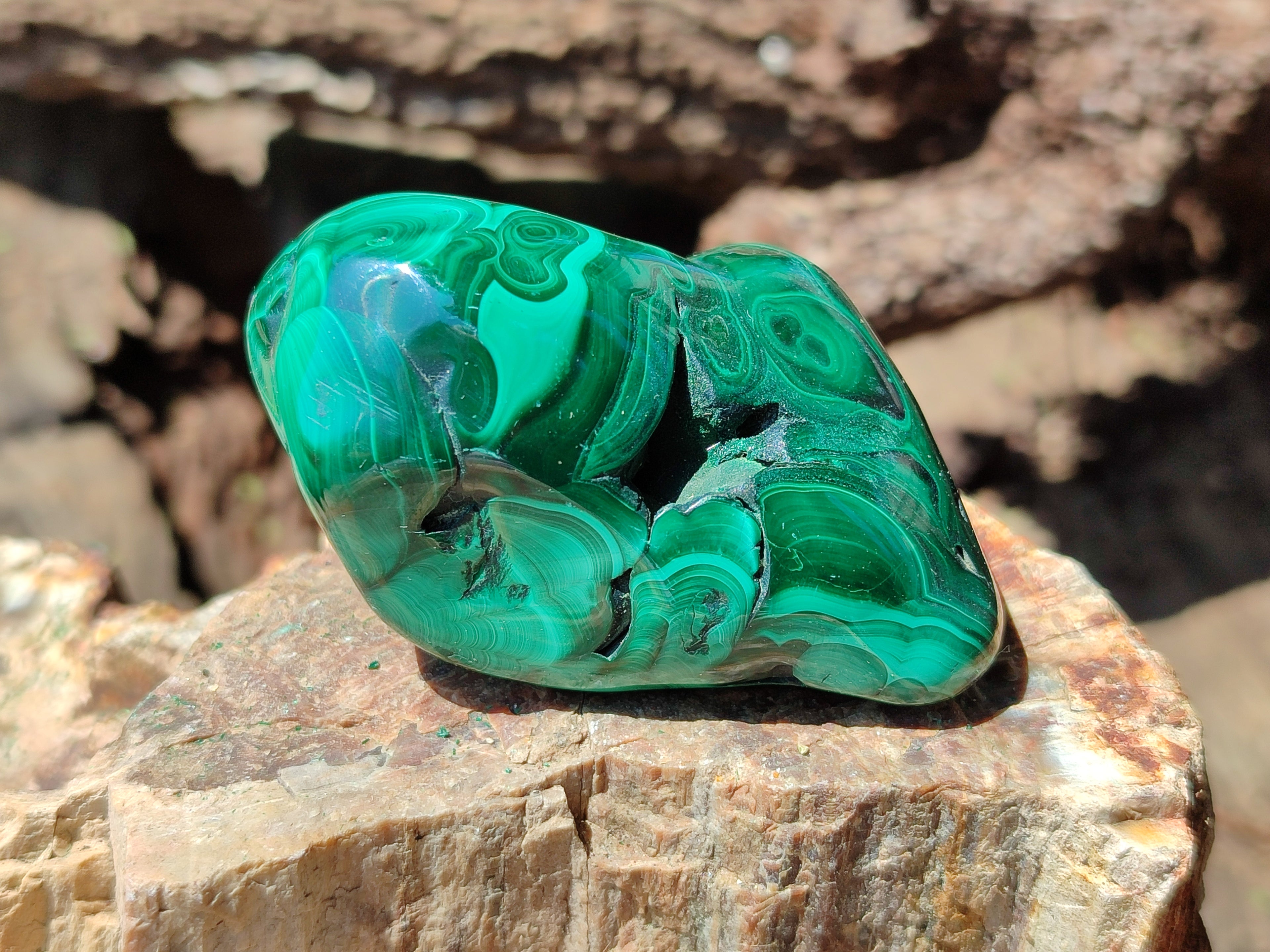 Polished Flower Banded Malachite Free Forms x 6 From Congo - Toprock Gemstones and Minerals 