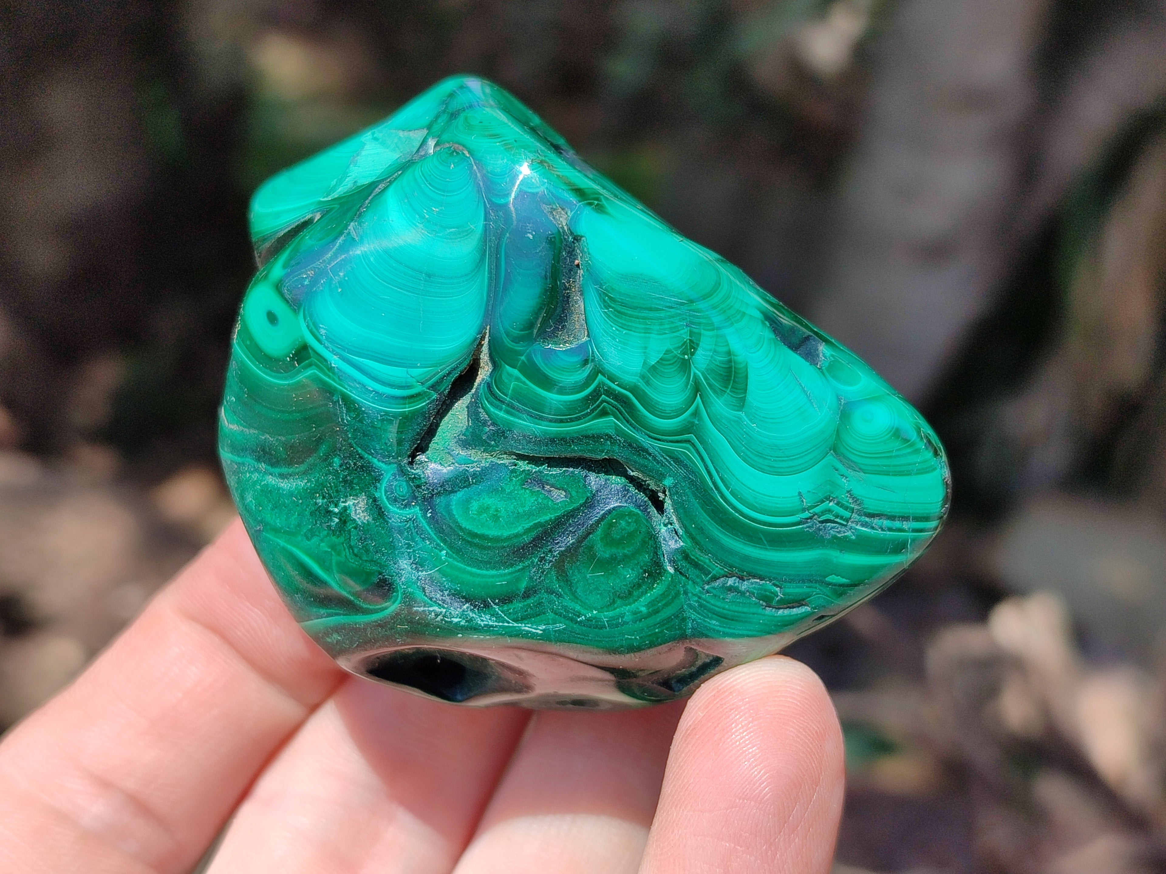 Polished Flower Banded Malachite Free Forms x 6 From Congo - Toprock Gemstones and Minerals 