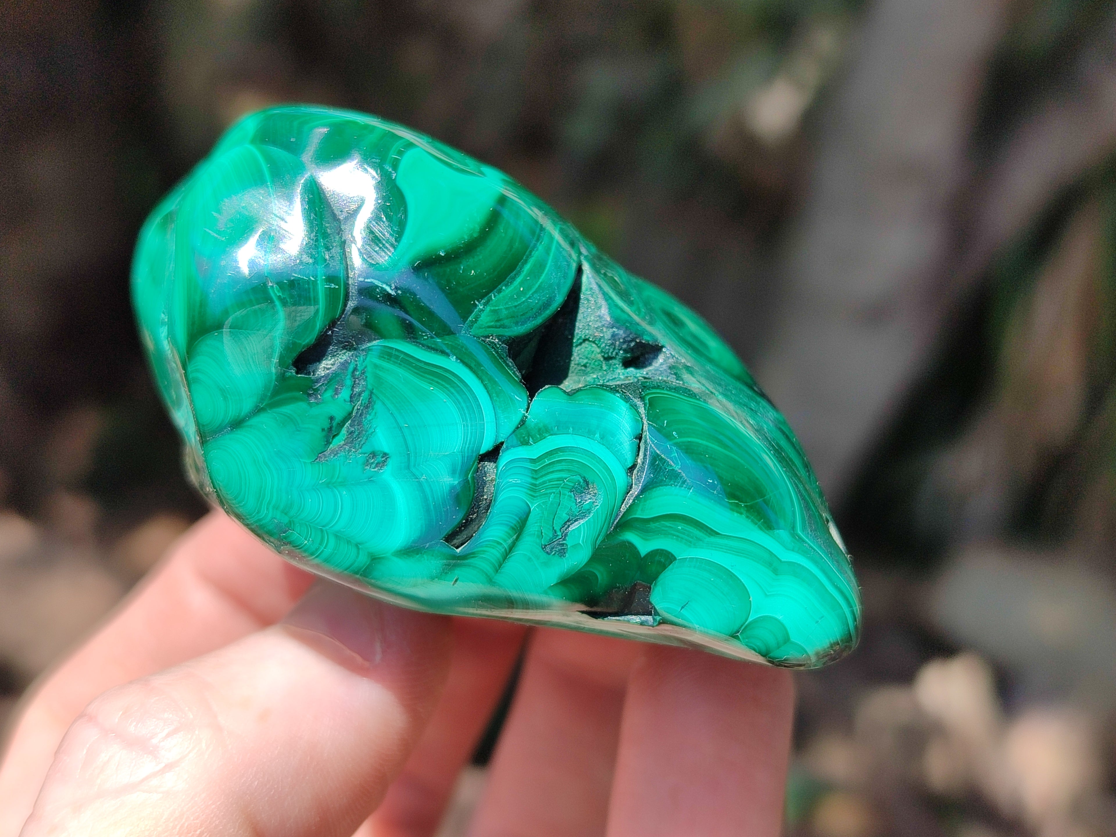 Polished Flower Banded Malachite Free Forms x 6 From Congo - Toprock Gemstones and Minerals 