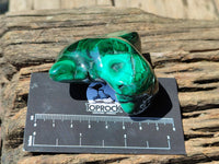Polished Flower Banded Malachite Free Forms x 6 From Congo - Toprock Gemstones and Minerals 