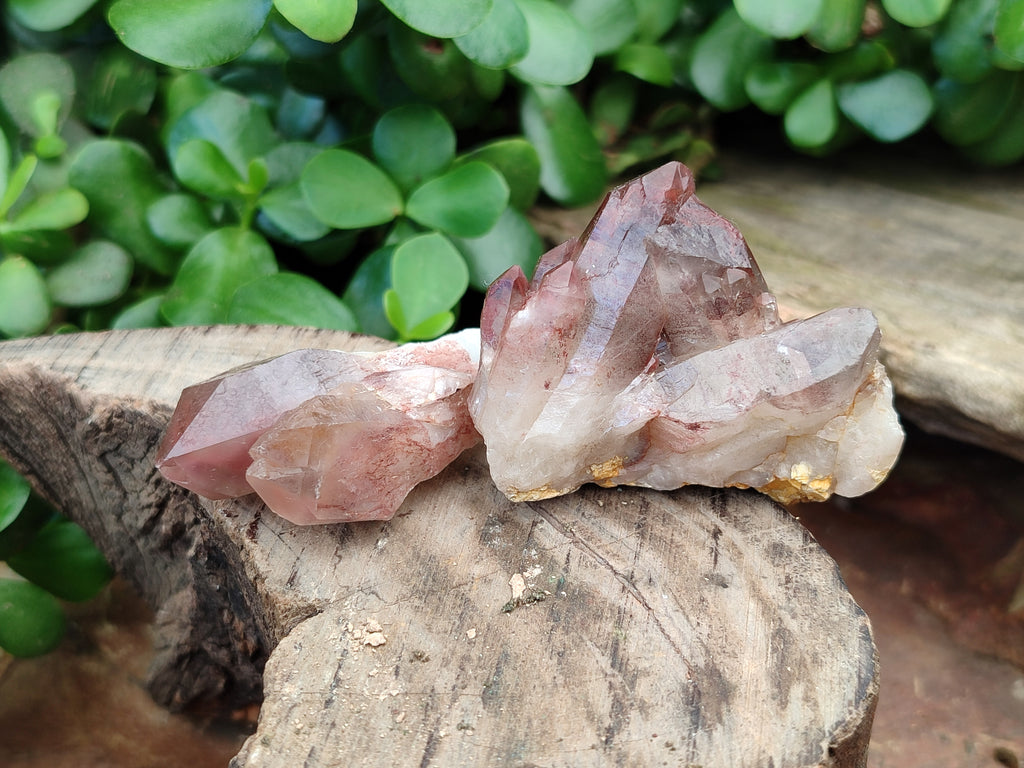 Natural Red Hematoid Quartz Crystals x 35 From Karoi, Zimbabwe - Toprock Gemstones and Minerals 