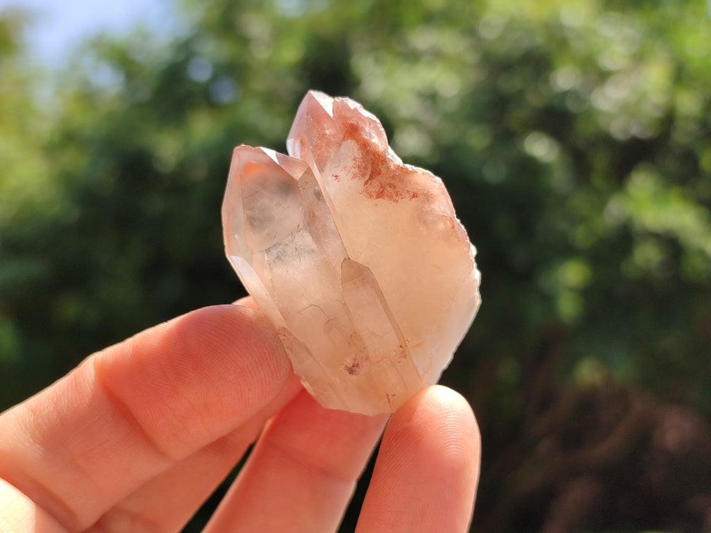 Natural Red Hematoid Quartz Crystals x 35 From Karoi, Zimbabwe - Toprock Gemstones and Minerals 