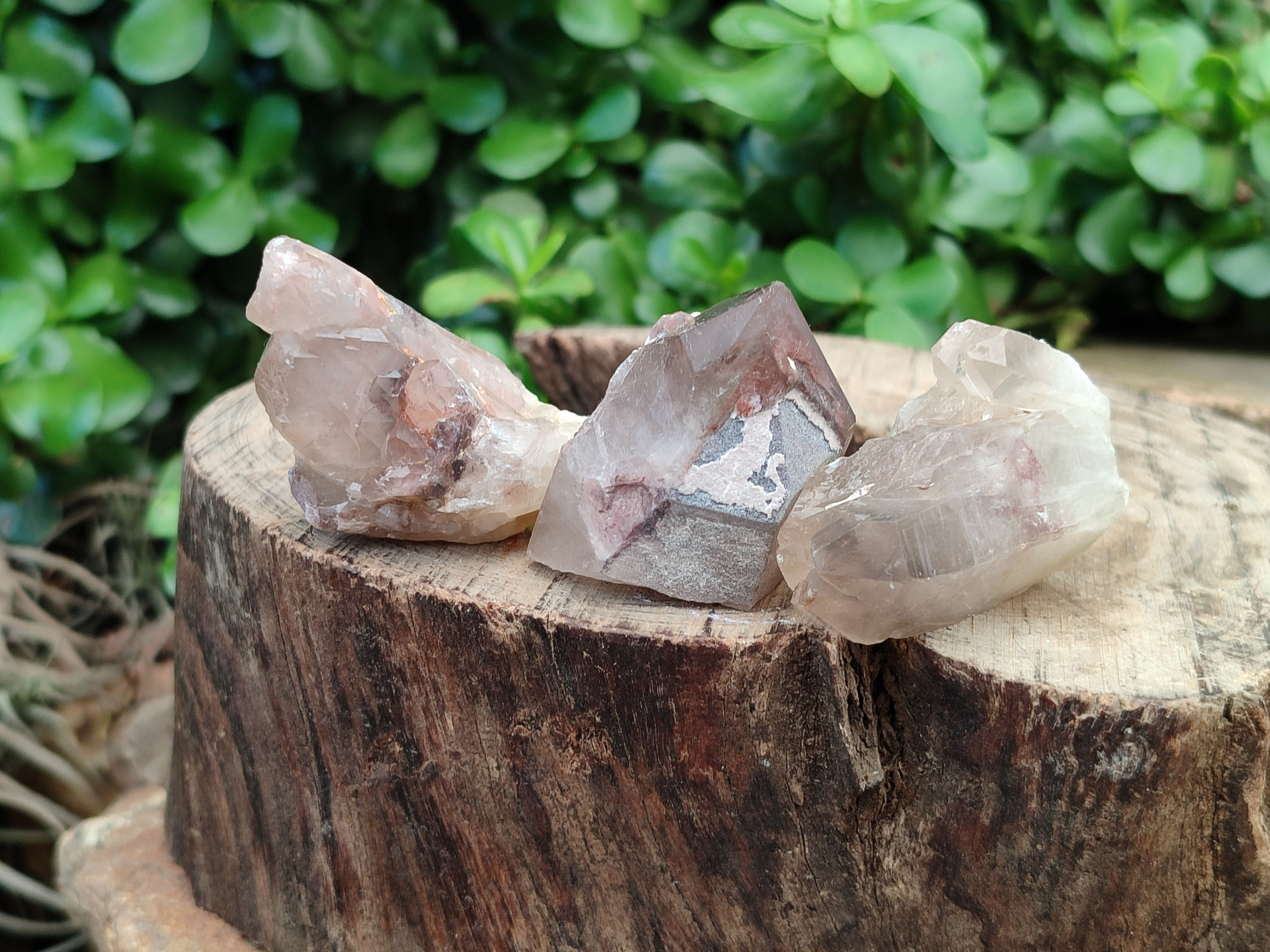 Natural Red Hematoid Quartz Crystals x 35 From Karoi, Zimbabwe - Toprock Gemstones and Minerals 