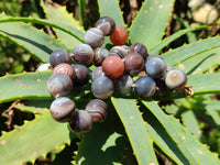 Polished Botswana Agate Beaded Necklace - Sold Per Item- From Botswana - Toprock Gemstones and Minerals 