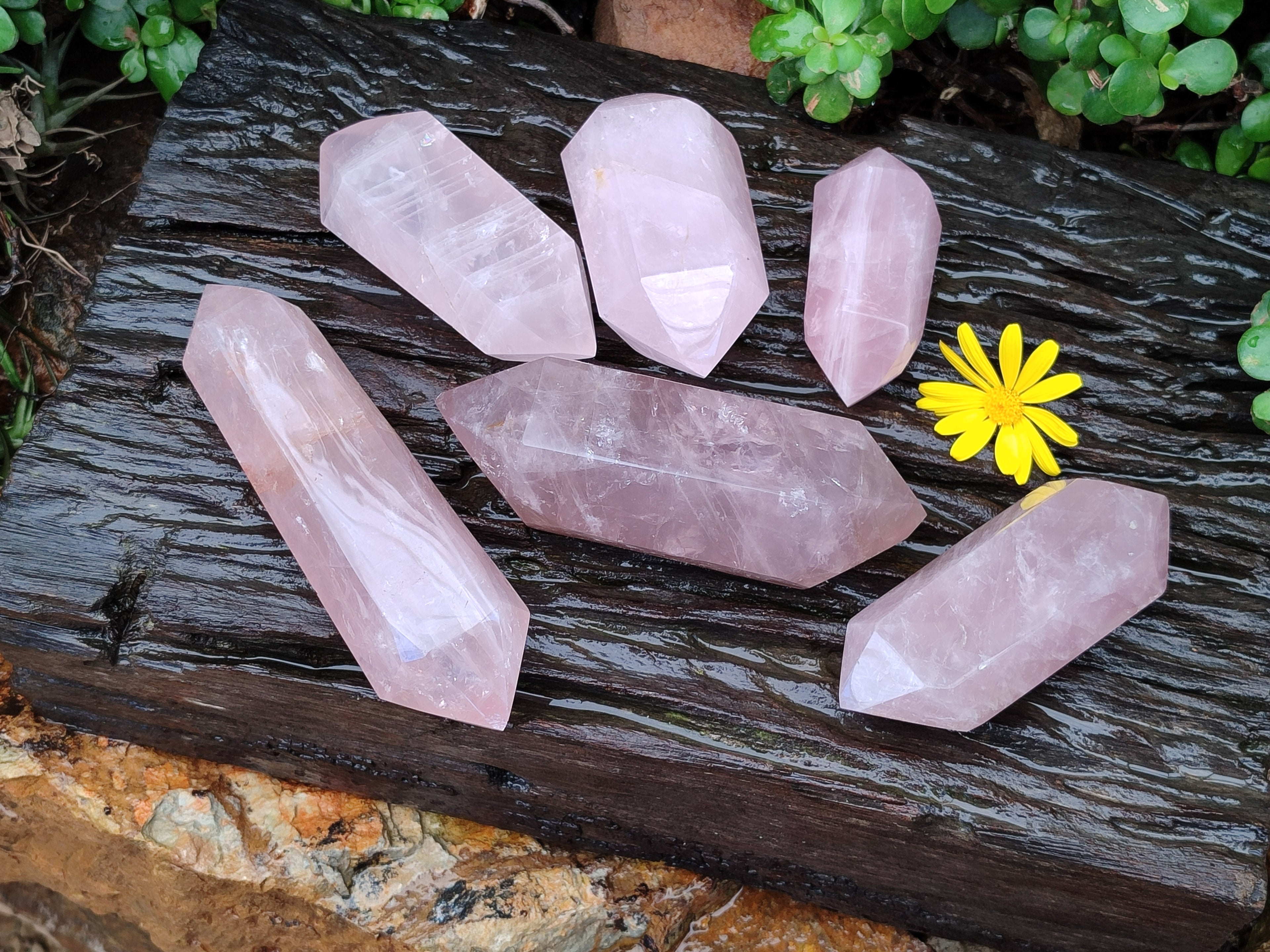 Polished Double Terminated Rose Quartz Points x 6 From Ambatondrazaka, Madagascar - Toprock Gemstones and Minerals 