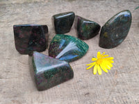 Polished Ruby Corundum In Chrome Verdite Free Forms x 6 From Zimbabwe - Toprock Gemstones and Minerals 