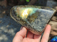 Polished Labradorite Standing Free Forms x 3 From Tulear, Madagascar - Toprock Gemstones and Minerals 
