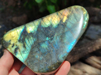 Polished Labradorite Standing Free Forms x 3 From Tulear, Madagascar - Toprock Gemstones and Minerals 