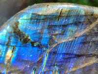 Polished Labradorite Standing Free Forms x 3 From Tulear, Madagascar - Toprock Gemstones and Minerals 