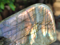 Polished Labradorite Standing Free Forms x 3 From Tulear, Madagascar - Toprock Gemstones and Minerals 