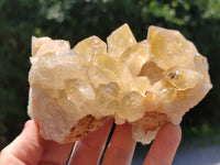 Natural Limonite Quartz Clusters x 5 From Solwezi, Zambia - Toprock Gemstones and Minerals 