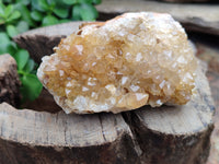 Natural Limonite Quartz Clusters x 12 From Solwezi, Zambia - Toprock Gemstones and Minerals 