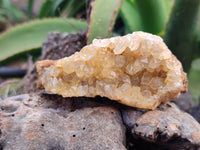 Natural Limonite Quartz Clusters x 12 From Solwezi, Zambia - Toprock Gemstones and Minerals 