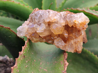 Natural Limonite Quartz Clusters x 12 From Solwezi, Zambia - Toprock Gemstones and Minerals 