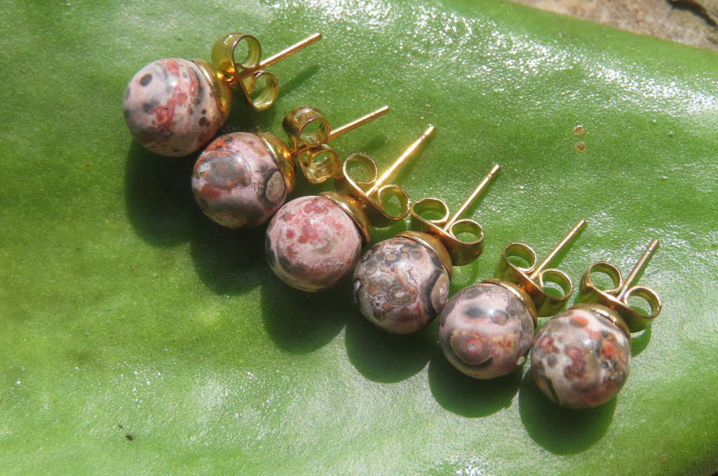 Polished Pair of Snakeskin Rhyolite Jasper Stud Earrings - sold per Pair - From Australia - Toprock Gemstones and Minerals 