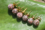 Polished Pair of Snakeskin Rhyolite Jasper Stud Earrings - sold per Pair - From Australia - Toprock Gemstones and Minerals 