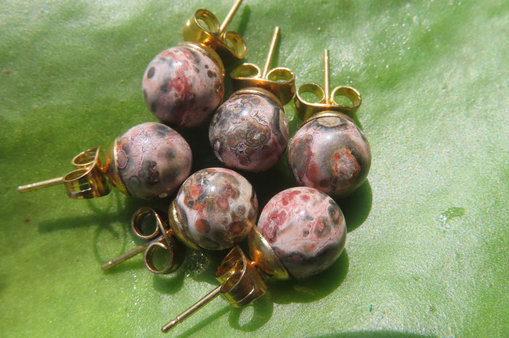 Polished Pair of Snakeskin Rhyolite Jasper Stud Earrings - sold per Pair - From Australia - Toprock Gemstones and Minerals 