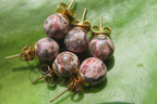 Polished Pair of Snakeskin Rhyolite Jasper Stud Earrings - sold per Pair - From Australia - Toprock Gemstones and Minerals 