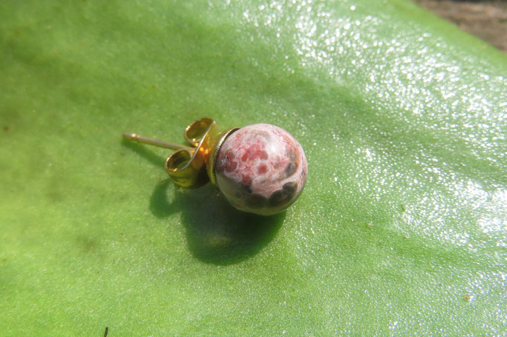Polished Pair of Snakeskin Rhyolite Jasper Stud Earrings - sold per Pair - From Australia - Toprock Gemstones and Minerals 