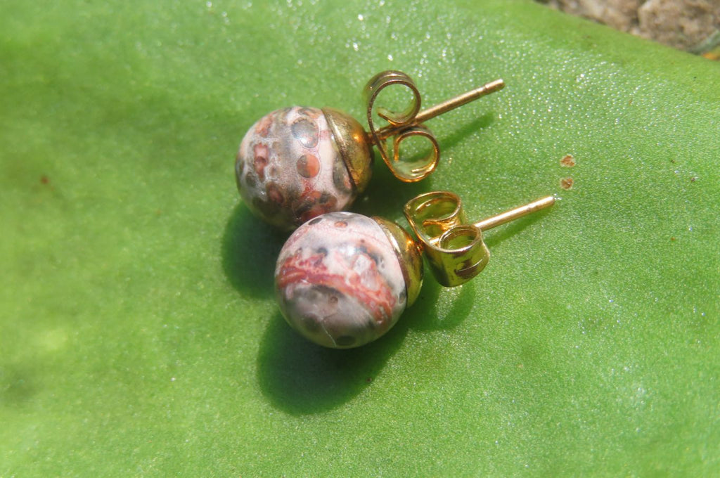 Polished Pair of Snakeskin Rhyolite Jasper Stud Earrings - sold per Pair - From Australia - Toprock Gemstones and Minerals 