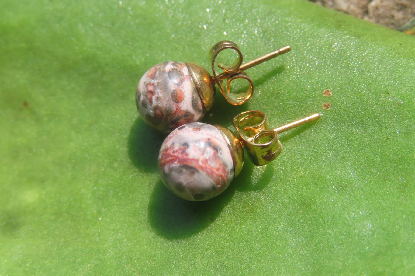Polished Pair of Snakeskin Rhyolite Jasper Stud Earrings - sold per Pair - From Australia - Toprock Gemstones and Minerals 