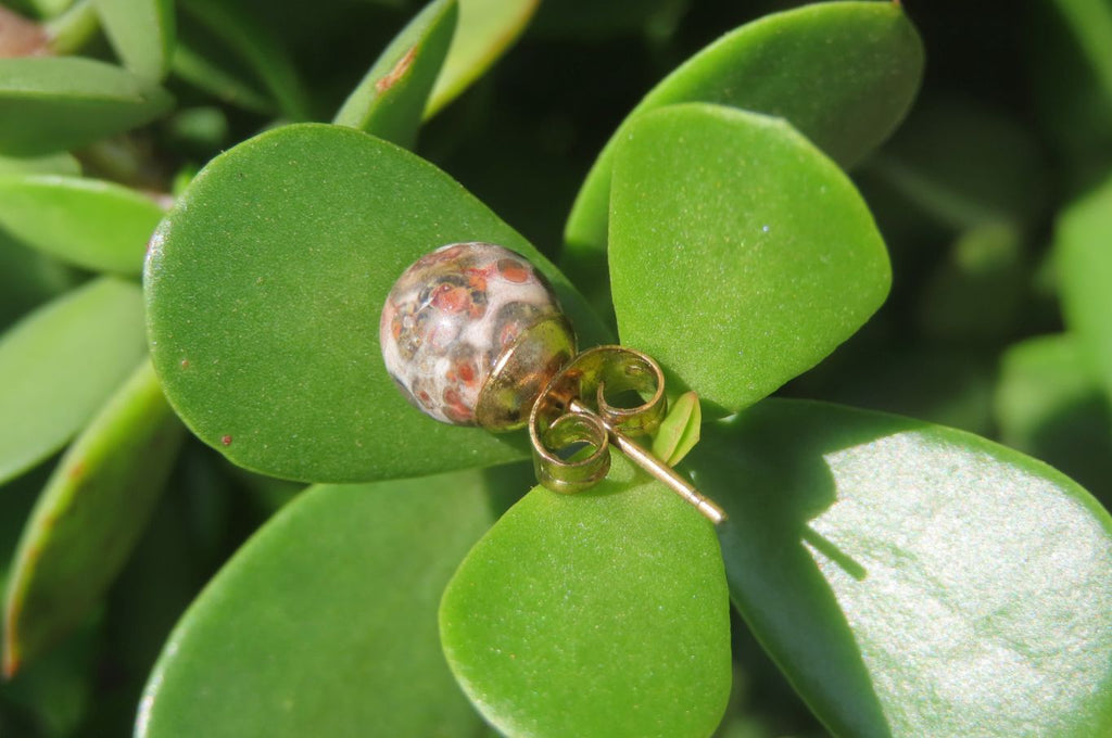 Polished Pair of Snakeskin Rhyolite Jasper Stud Earrings - sold per Pair - From Australia - Toprock Gemstones and Minerals 
