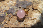 Polished Pair of Rose Quartz Stud Earrings - sold per Pair - From South Africa - Toprock Gemstones and Minerals 
