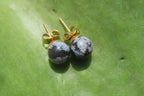 Polished Pair of Snowflake Obsidian Stud Earrings - sold per Pair - From Mexico - Toprock Gemstones and Minerals 