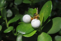 Polished Pair of Lightning Strike Magnesite - Howlite Stud Earrings - Sold per Pair - From Zimbabwe - Toprock Gemstones and Minerals 