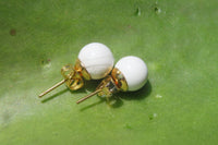Polished Pair of Lightning Strike Magnesite - Howlite Stud Earrings - Sold per Pair - From Zimbabwe - Toprock Gemstones and Minerals 