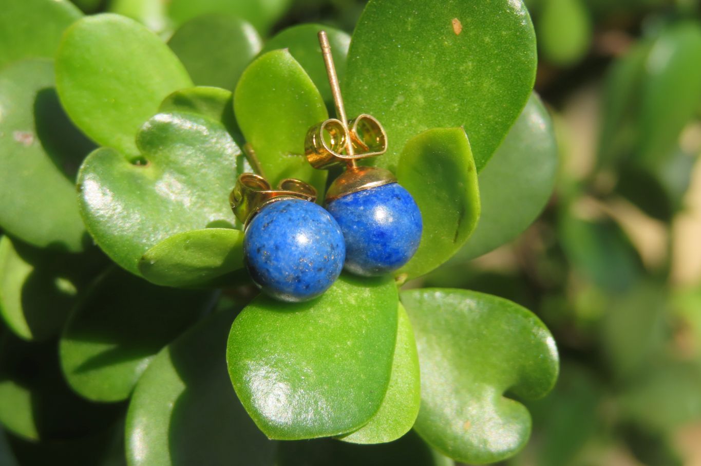 Polished Pair of Lapis Lazuli Stud Earrings - Sold Per Pair - From Afghanistan - Toprock Gemstones and Minerals 