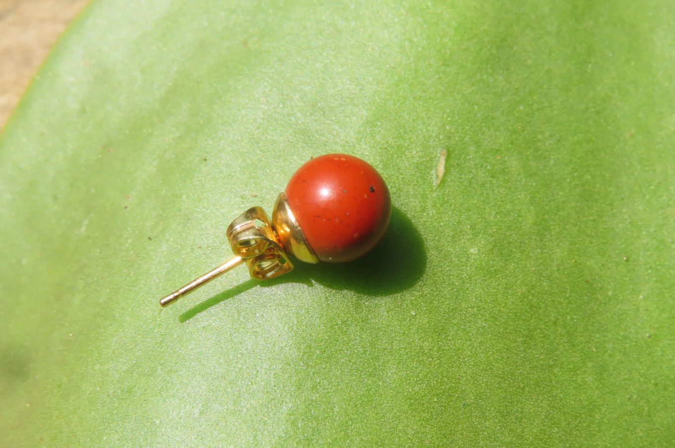 Polished Pair of Red Jasper Stud Earrings - Sold per Pair - From South Africa - Toprock Gemstones and Minerals 